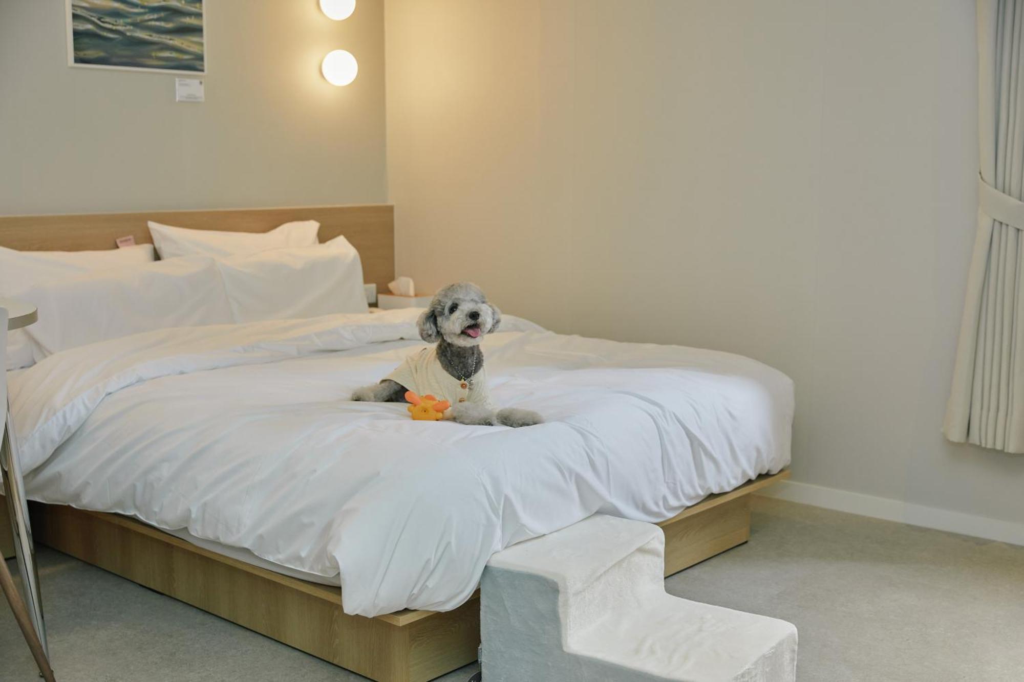 Aank Hotel Incheon Songdo Dış mekan fotoğraf